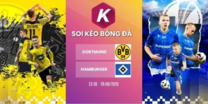 Tỷ lệ kèo khi soi kèo nhà cái Dortmund vs Hamburger - Bundesliga, 29/08/2026